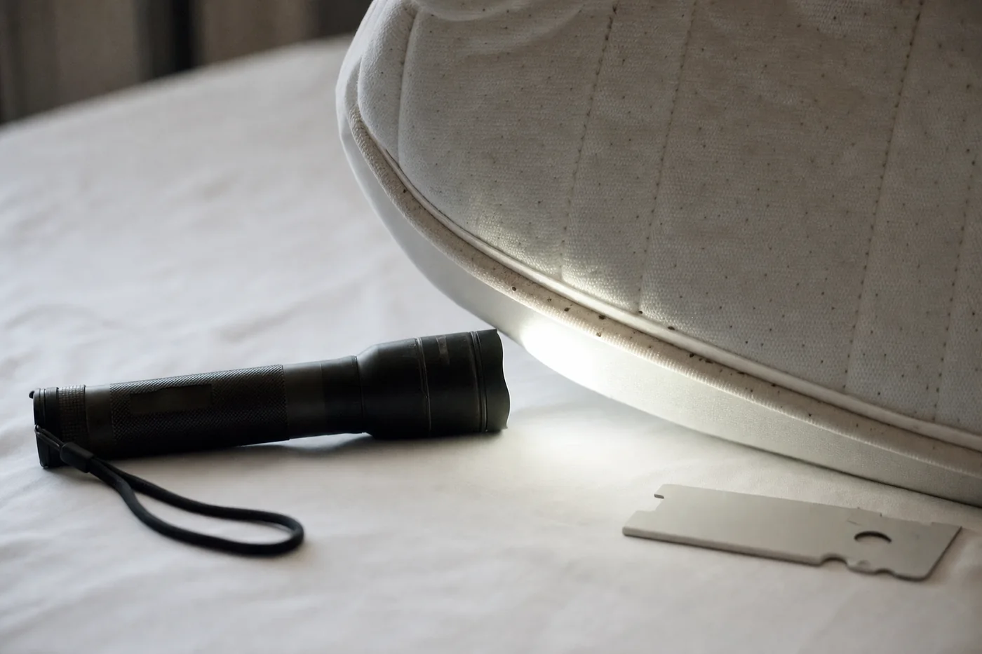 Lampe et carte rigide au pied d'un matelas, pendant une inspection