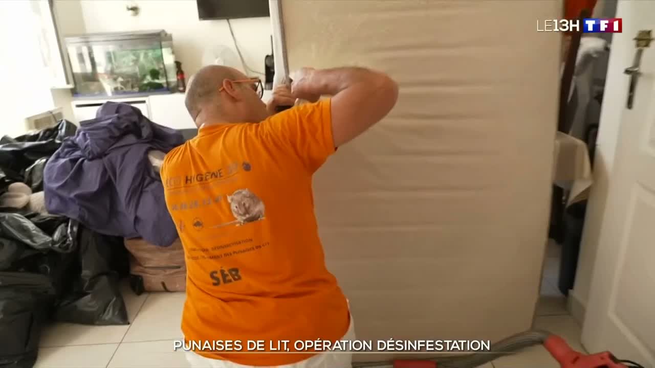 Image du reportage de TF1 consacré à une intervention contre les punaises de lit