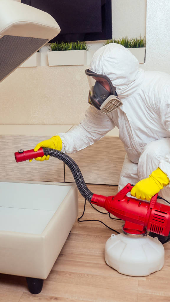 Homme en train de dératiser un canapé