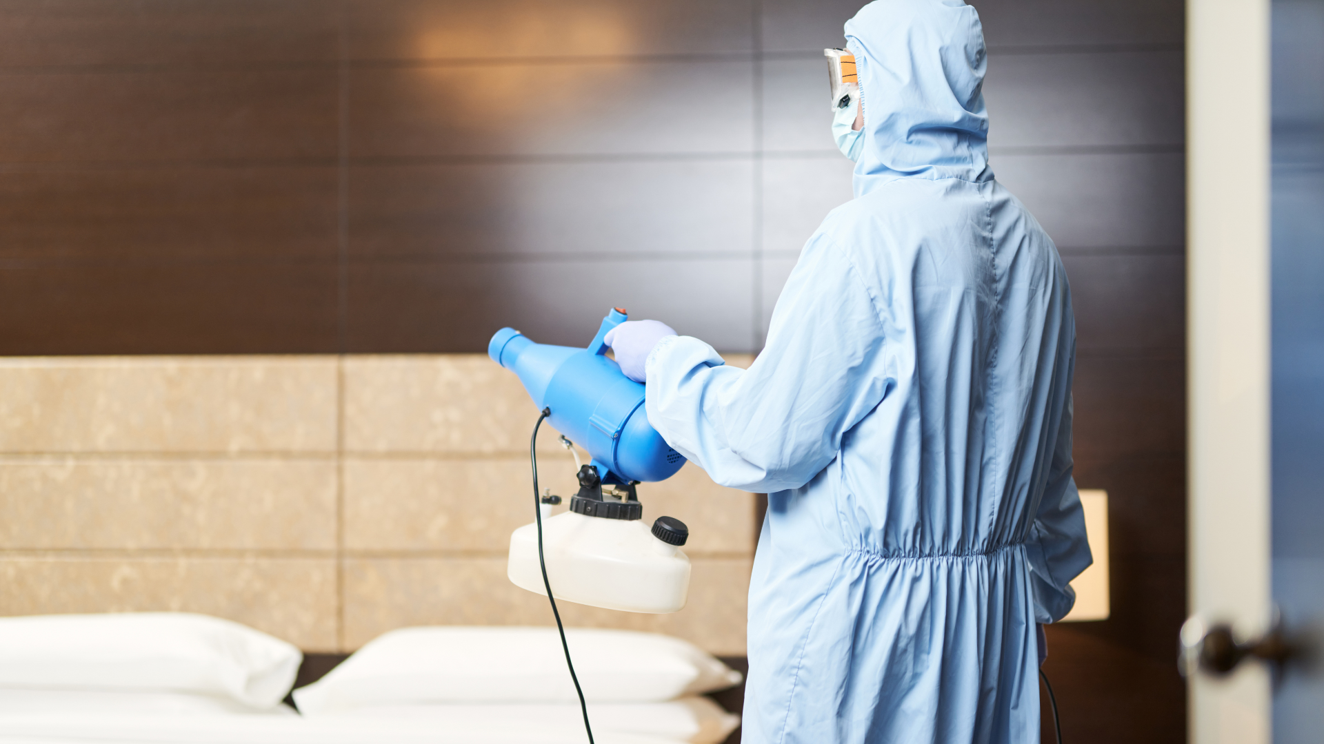 Désinsectisation de punaises de lit dans un hôtel